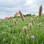 regały ekspozycyjne